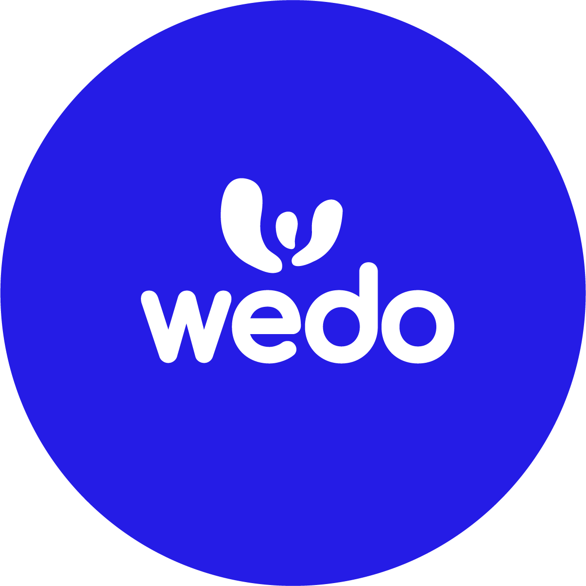 Wedo AI favicon